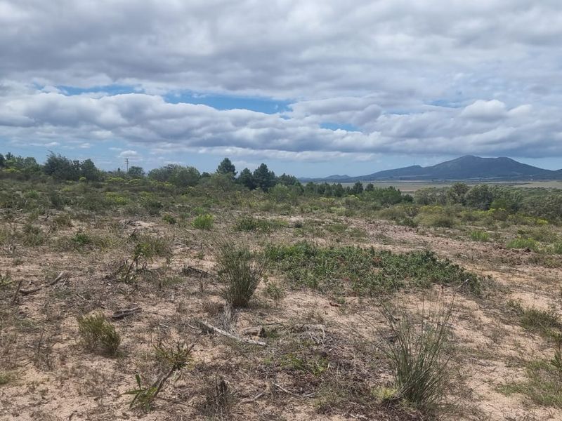 Farm situated in area soon to be developed - Photo 6