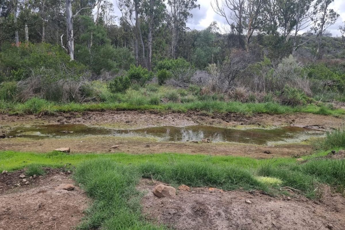 Farm situated in area soon to be developed - Photo 4