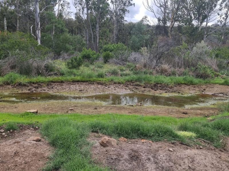 Farm situated in area soon to be developed - Photo 4