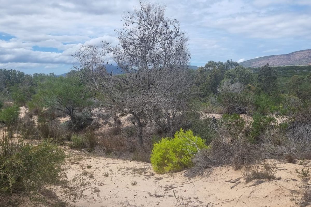 Farm situated in area soon to be developed - Photo 5