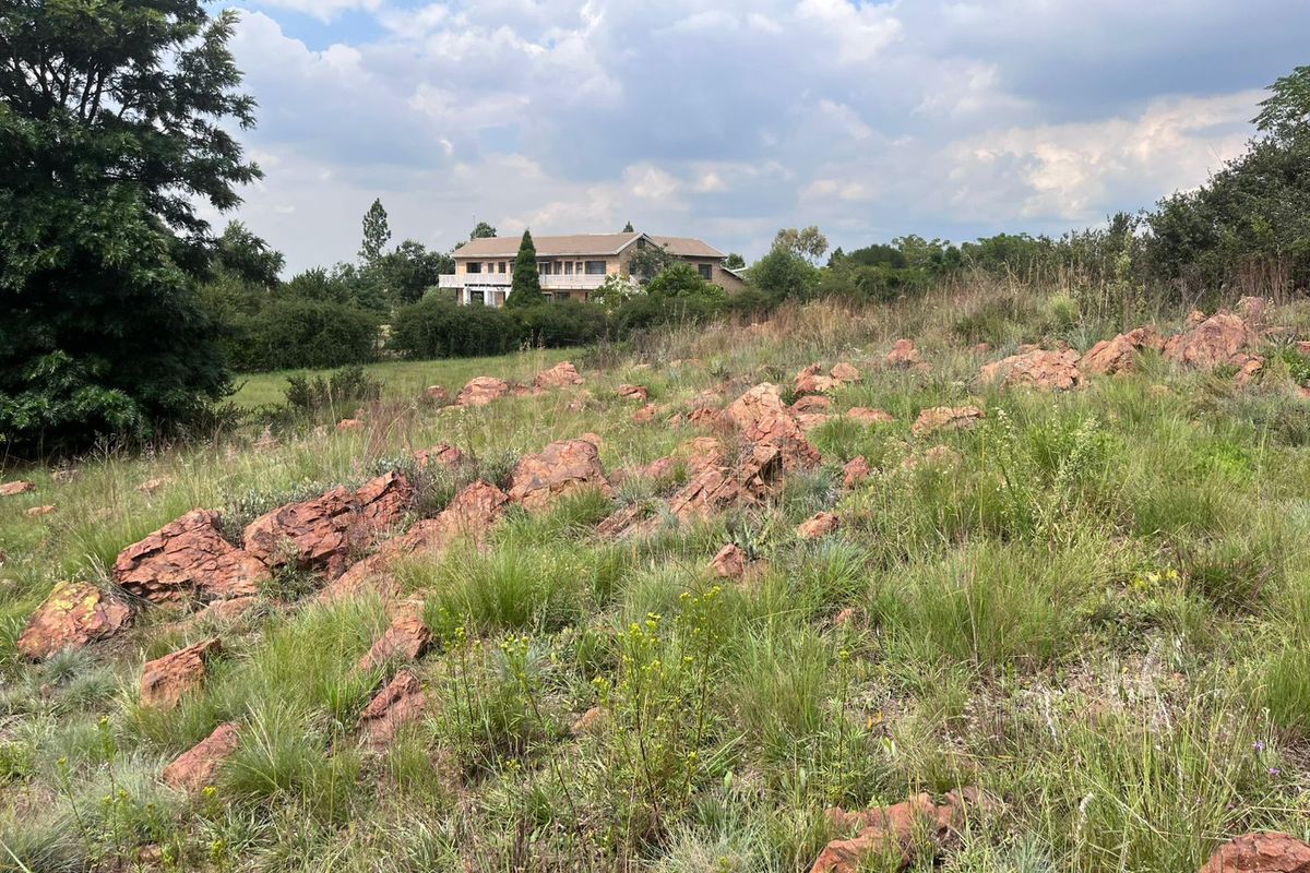 Prime 1 Hectare Vacant Land – Blue Saddle Ranches. - Photo 3