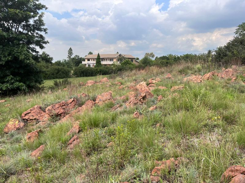 Prime 1 Hectare Vacant Land – Blue Saddle Ranches. - Photo 3