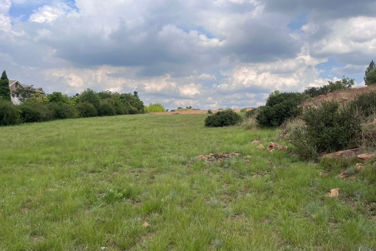 Prime 1 Hectare Vacant Land – Blue Saddle Ranches. - Photo 4