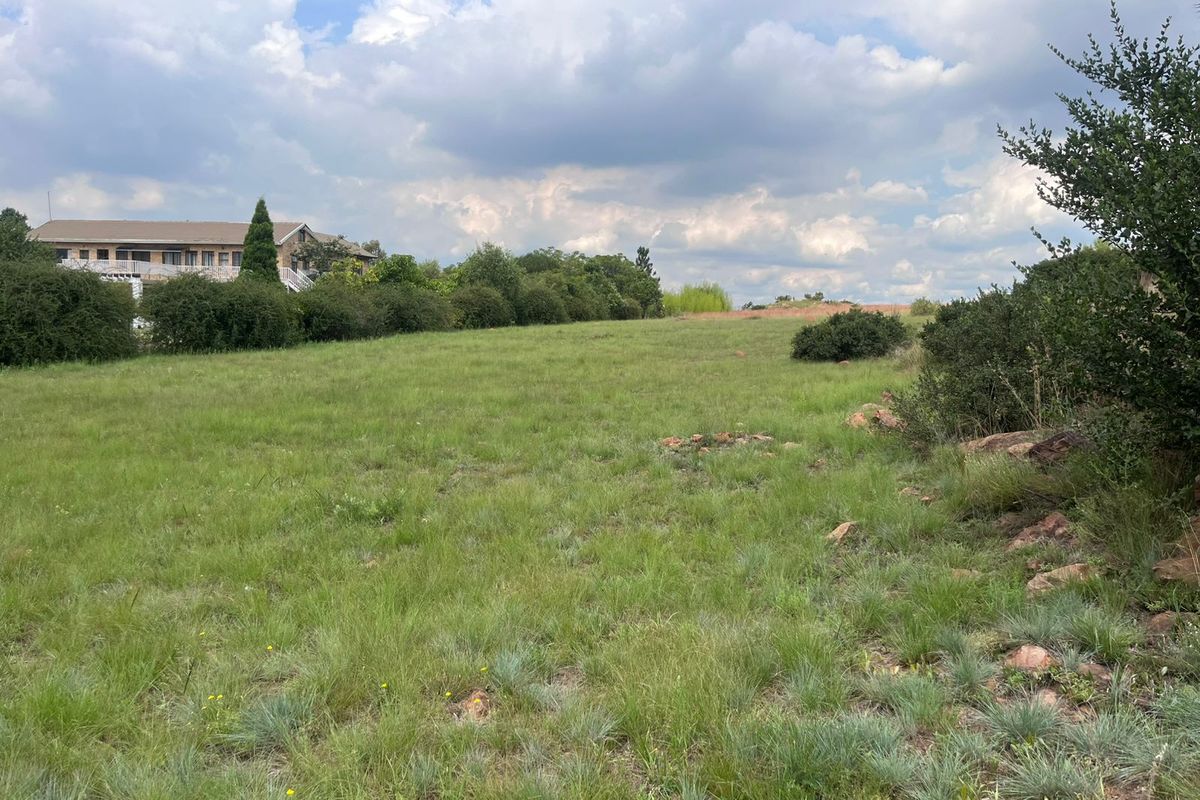 Prime 1 Hectare Vacant Land – Blue Saddle Ranches. - Photo 2