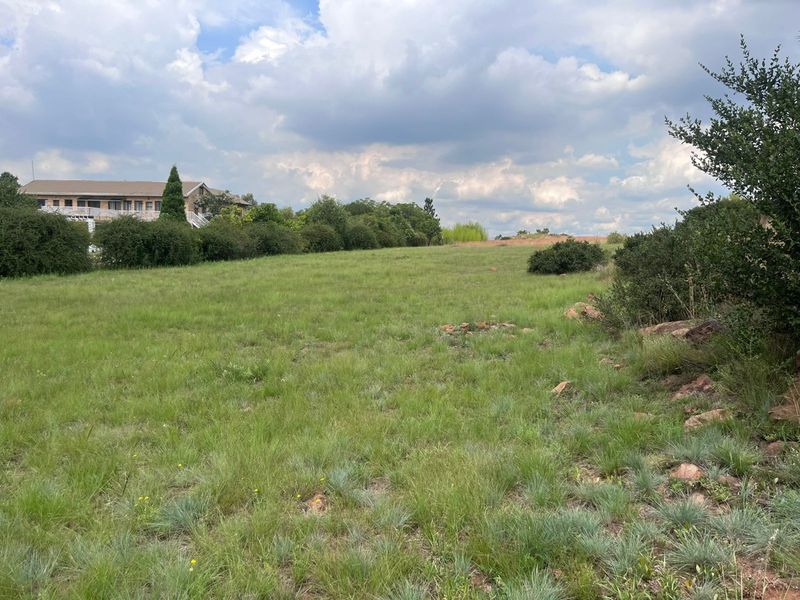 Prime 1 Hectare Vacant Land – Blue Saddle Ranches. - Photo 2
