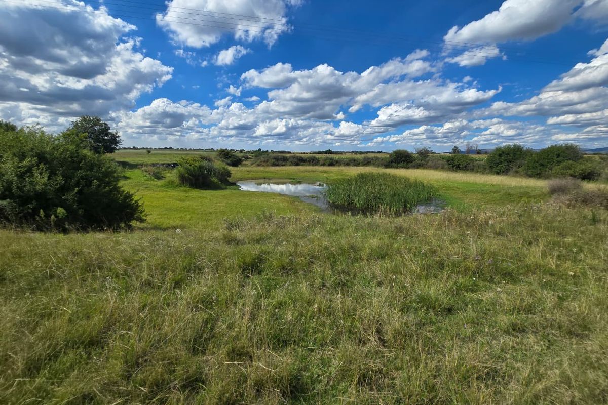 Exceptional 77ha Established Agricultural Gem in Meyerton. - Photo 2