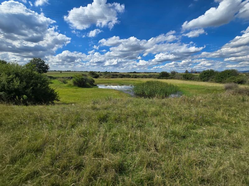 Exceptional 77ha Established Agricultural Gem in Meyerton. - Photo 2