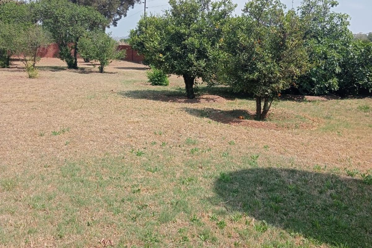 Facebrick home with many features - Photo 3