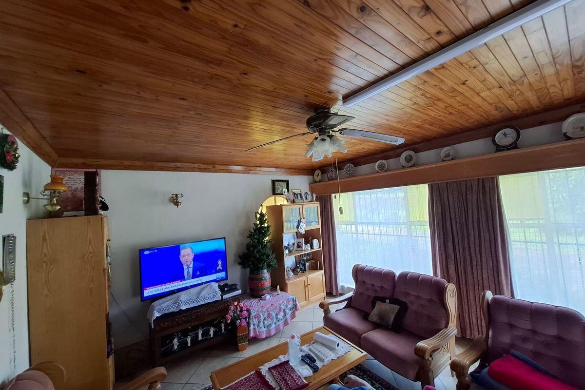 A living room featuring a warm timber-paneled ceiling, ceiling fan, tiled floors, and large sliding doors providing natural light.