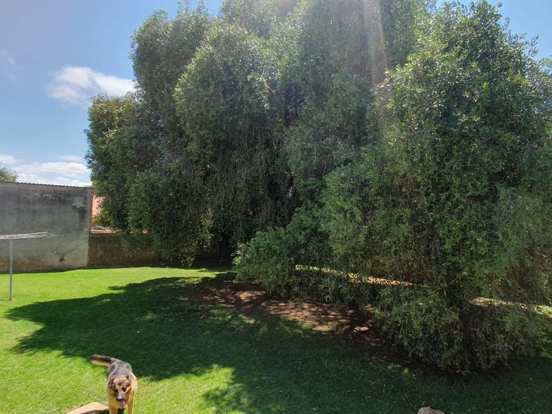 Big Garden Dreams, Warm Fires & Everyday Convenience - Photo 6