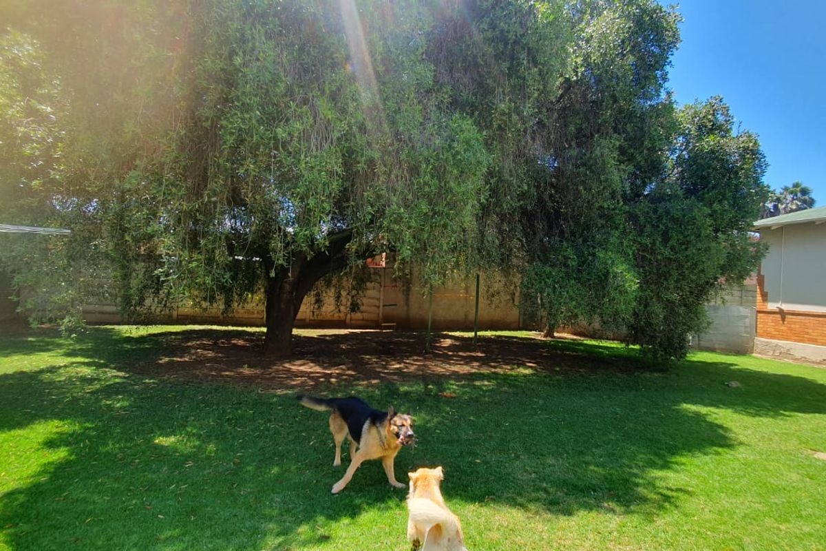 Big Garden Dreams, Warm Fires & Everyday Convenience - Photo 2