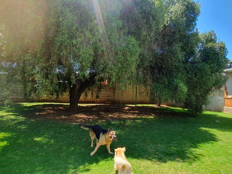 Big Garden Dreams, Warm Fires & Everyday Convenience - Photo 2