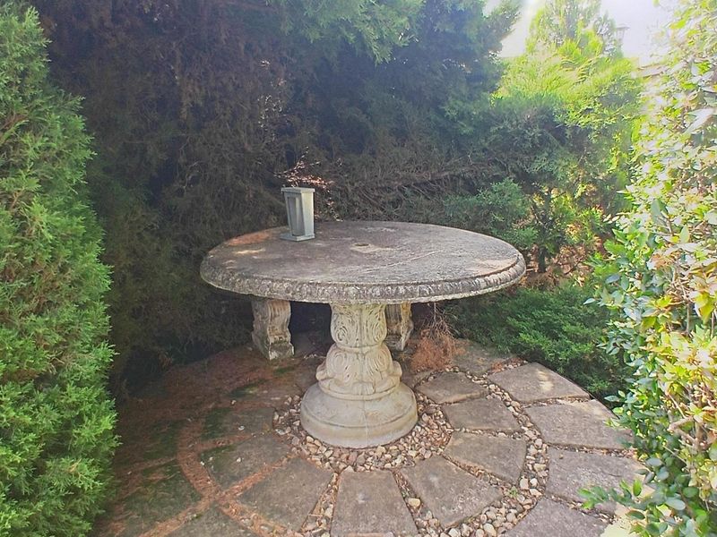 Entertainer’s Dream with Lush Garden, Poolside Living & Separate Flatlet - Photo 9