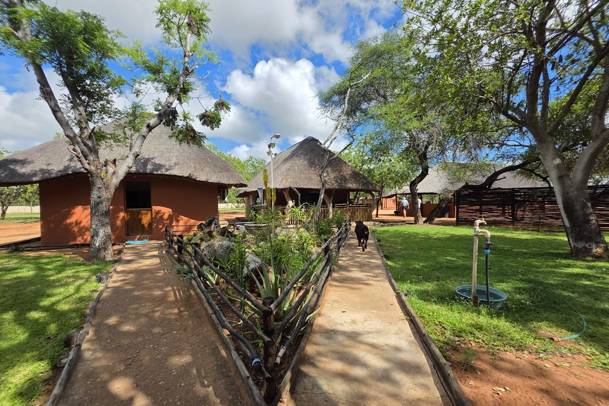 Mopanie Veld Game Farm – Exceptional Wildlife & Stunning Views - Photo 2