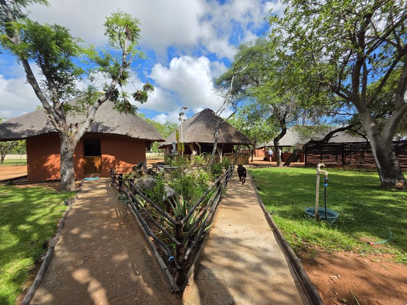 Mopanie Veld Game Farm – Exceptional Wildlife & Stunning Views - Photo 2