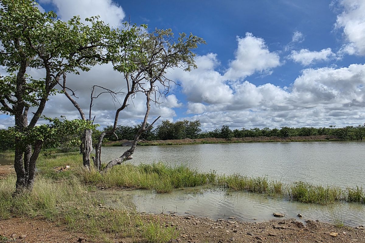 Mopanie Veld Game Farm – Exceptional Wildlife & Stunning Views - Photo 4