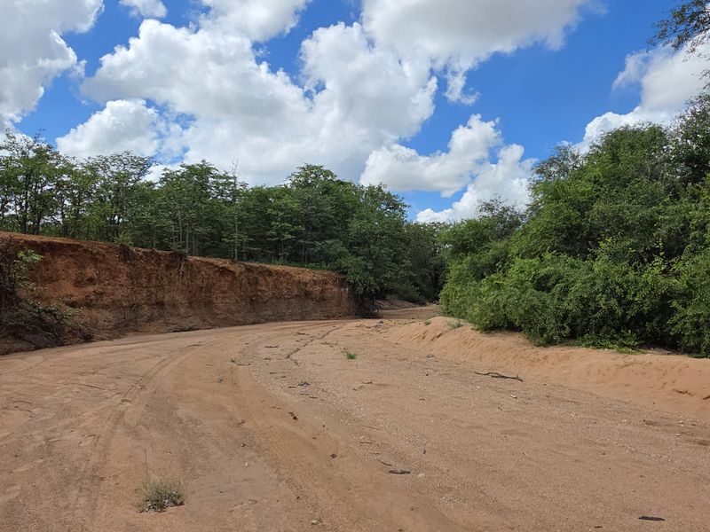 Mopanie Veld Game Farm – Exceptional Wildlife & Stunning Views - Photo 7