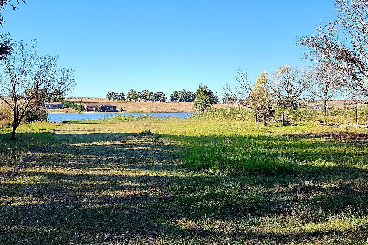 4.7 Hectares of Prime Land with Dam Frontage – Naauwpoort, Witbank - Photo 4