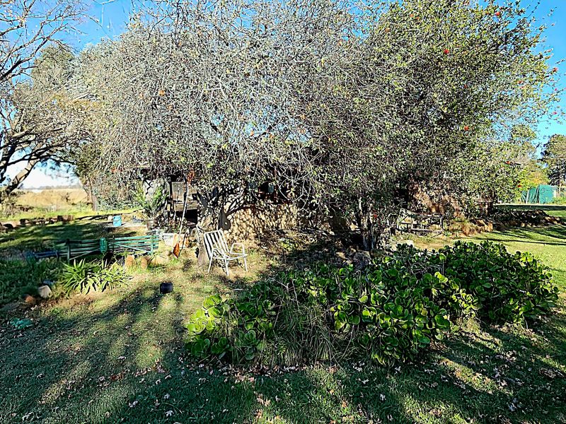 4.7 Hectares of Prime Land with Dam Frontage – Naauwpoort, Witbank - Photo 10