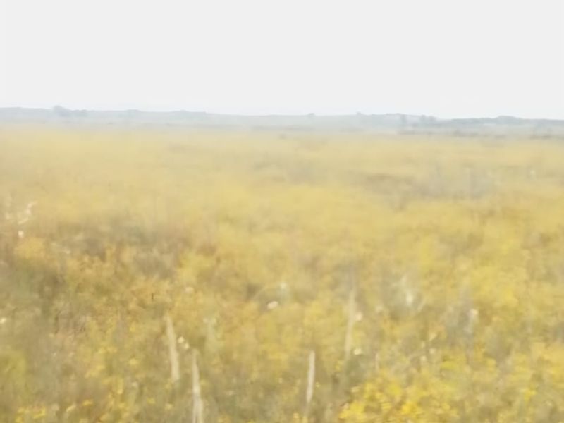 VACANT LAND FOR SALE IN KOPPIES – PEACEFUL COUNTRY LIVING! - Photo 2