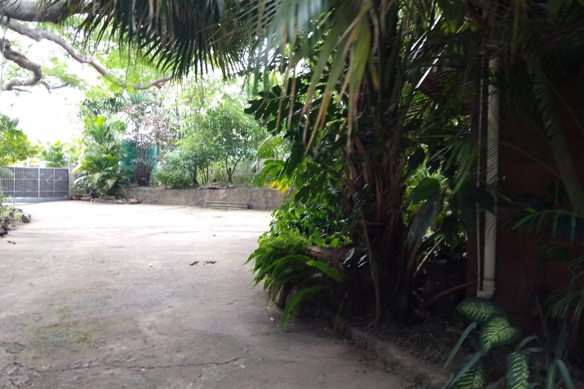 Colonial Style Home in Mandeni - Photo 3