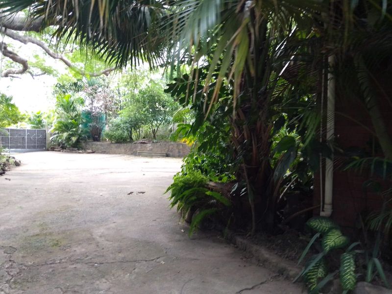 Colonial Style Home in Mandeni - Photo 3