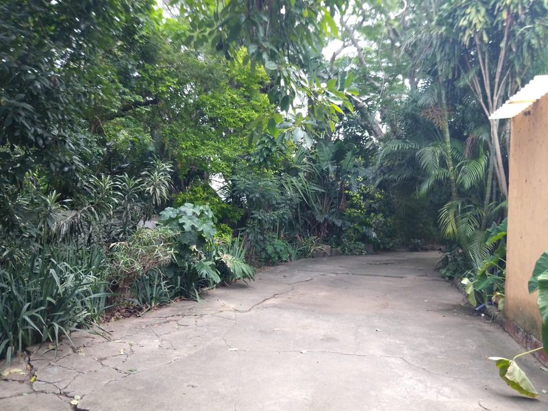 Colonial Style Home in Mandeni - Photo 4