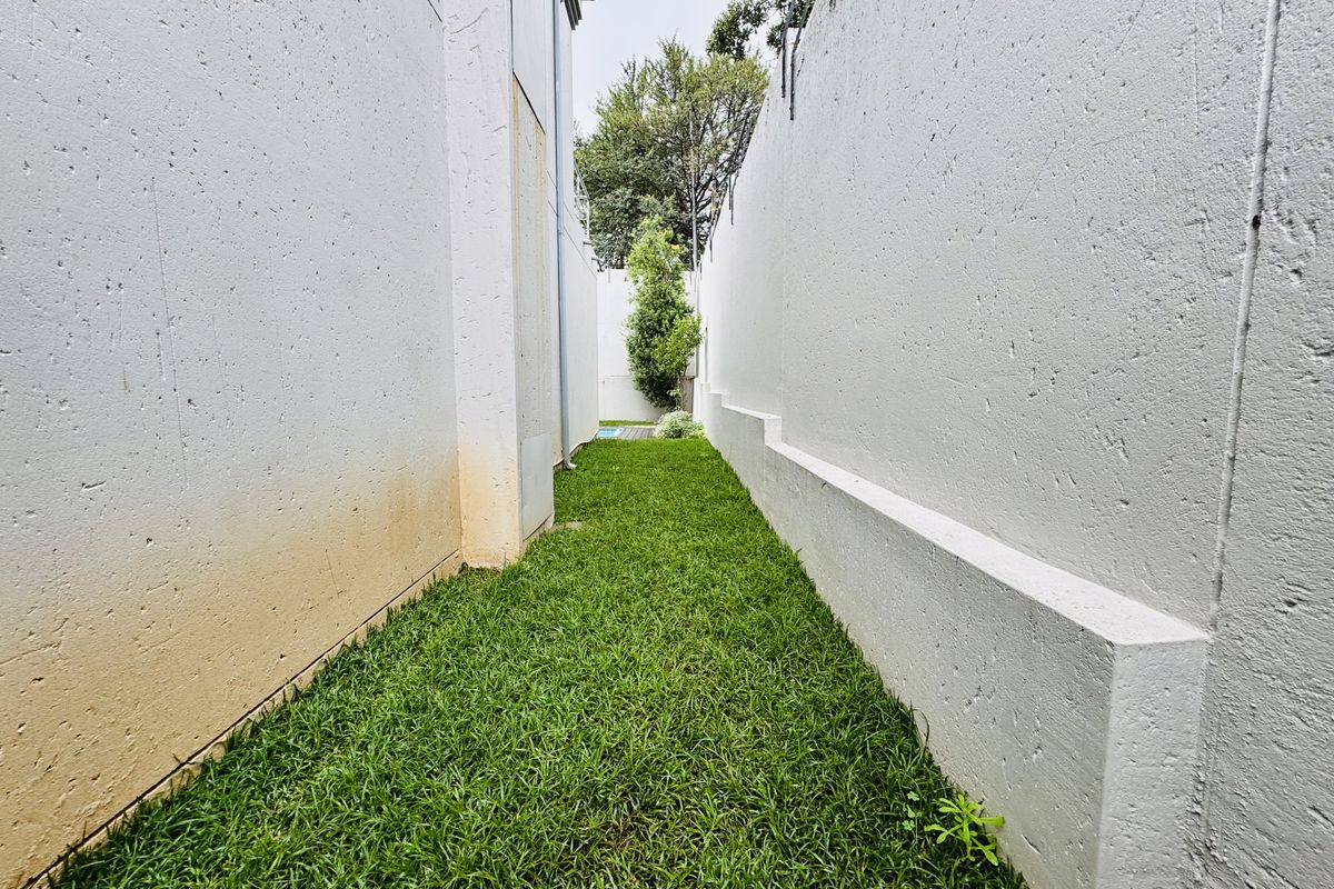 A narrow side garden passage featuring a manicured lawn enclosed by high boundary walls with visible exterior wall staining.