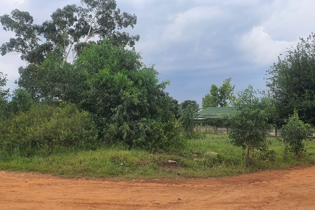 Vacant Land Residential For Sale In Heidelberg - Photo 5