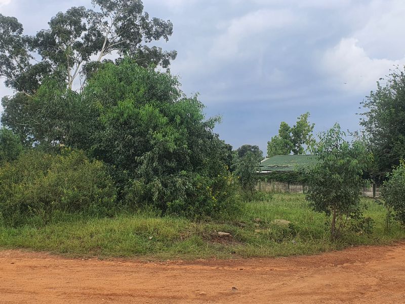 Vacant Land Residential For Sale In Heidelberg - Photo 5