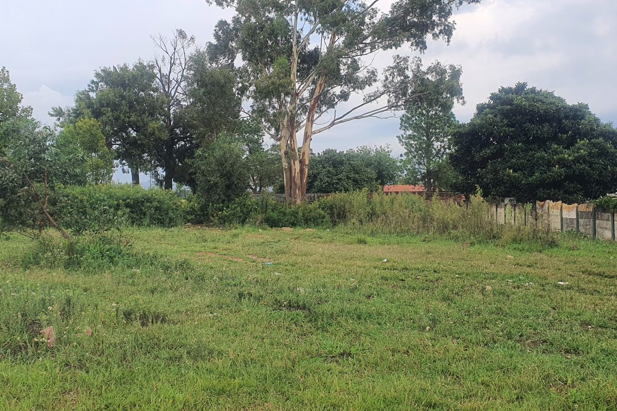 Vacant Land Residential For Sale In Heidelberg - Photo 2