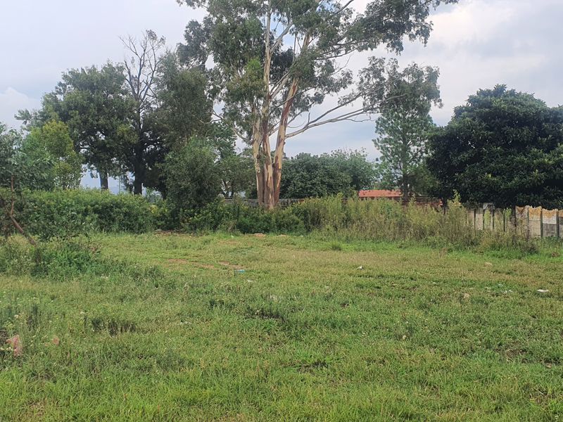 Vacant Land Residential For Sale In Heidelberg - Photo 2