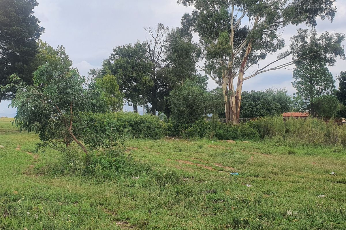 Vacant Land Residential For Sale In Heidelberg - Photo 3