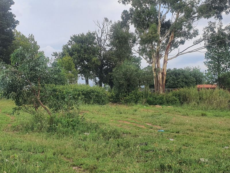 Vacant Land Residential For Sale In Heidelberg - Photo 3