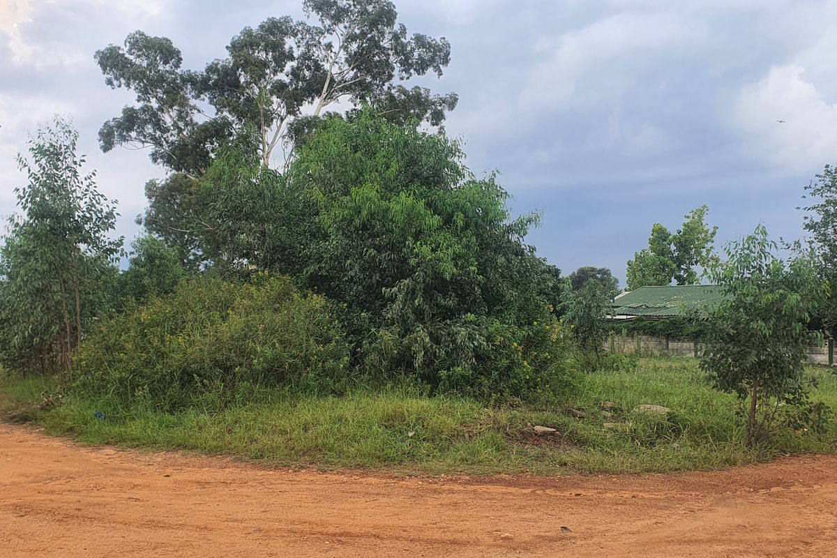 Vacant Land Residential For Sale In Heidelberg - Photo 4