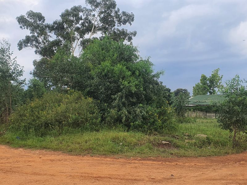 Vacant Land Residential For Sale In Heidelberg - Photo 4