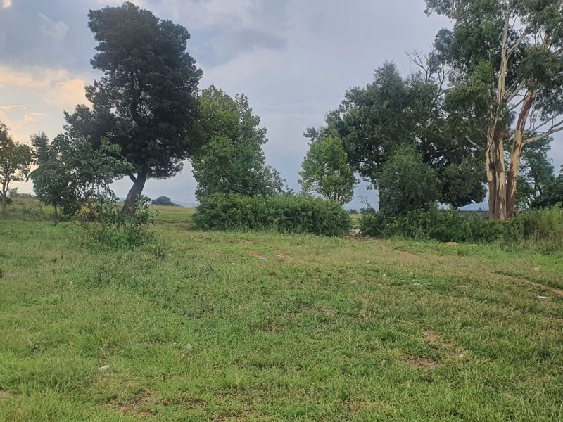 Vacant Land Residential For Sale In Heidelberg - Photo 8