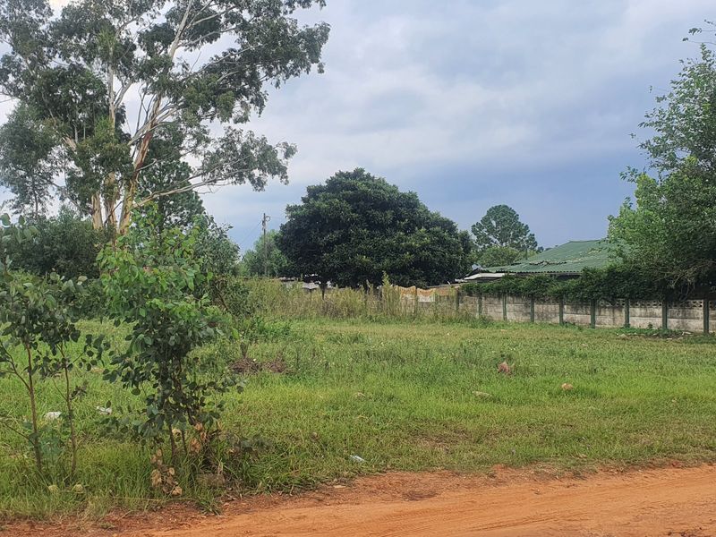 Vacant Land Residential For Sale In Heidelberg - Photo 7