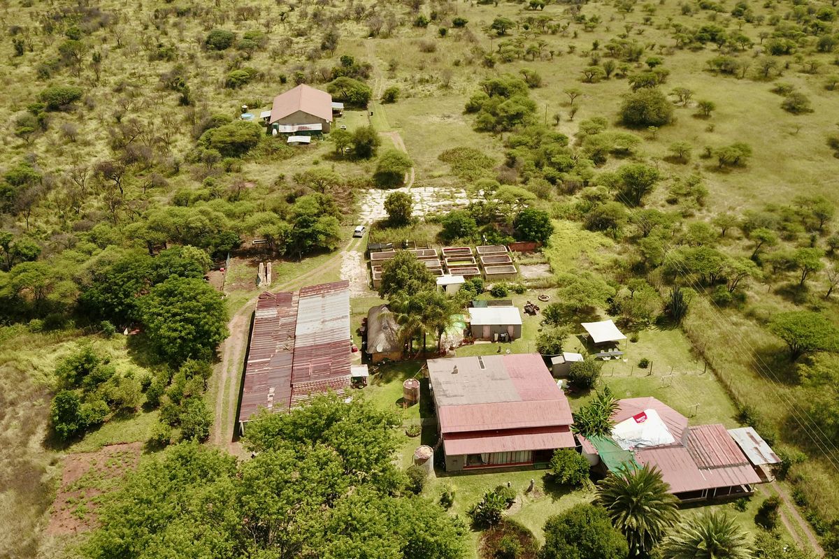 Prime Income-Generating Agricultural Smallholding - Photo 5