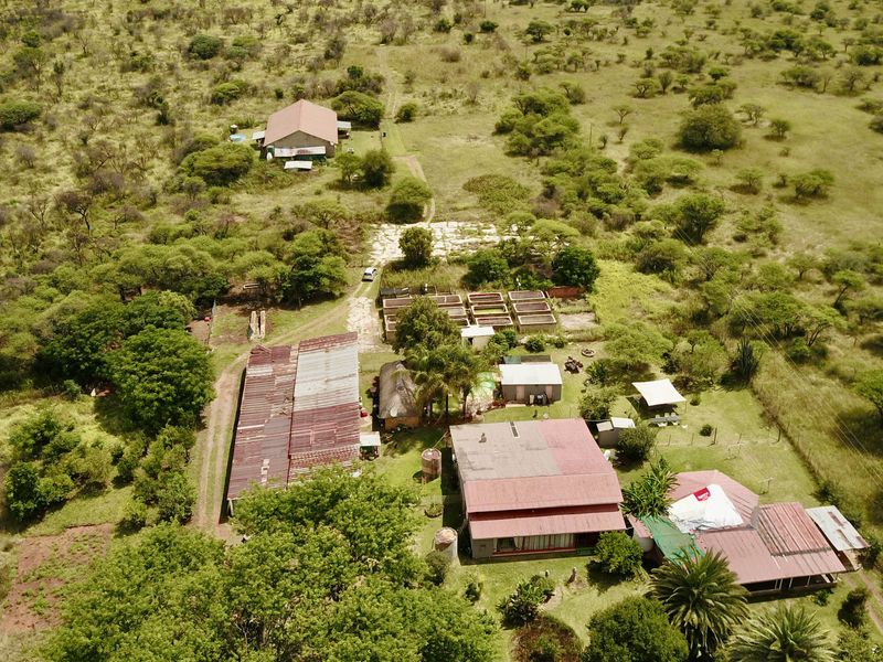 Prime Income-Generating Agricultural Smallholding - Photo 5