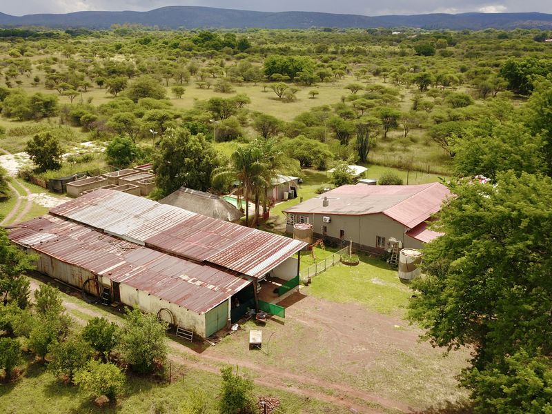 Prime Income-Generating Agricultural Smallholding - Photo 8