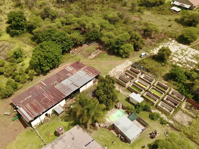 Prime Income-Generating Agricultural Smallholding - Photo 7