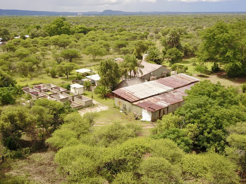 Prime Income-Generating Agricultural Smallholding - Photo 9