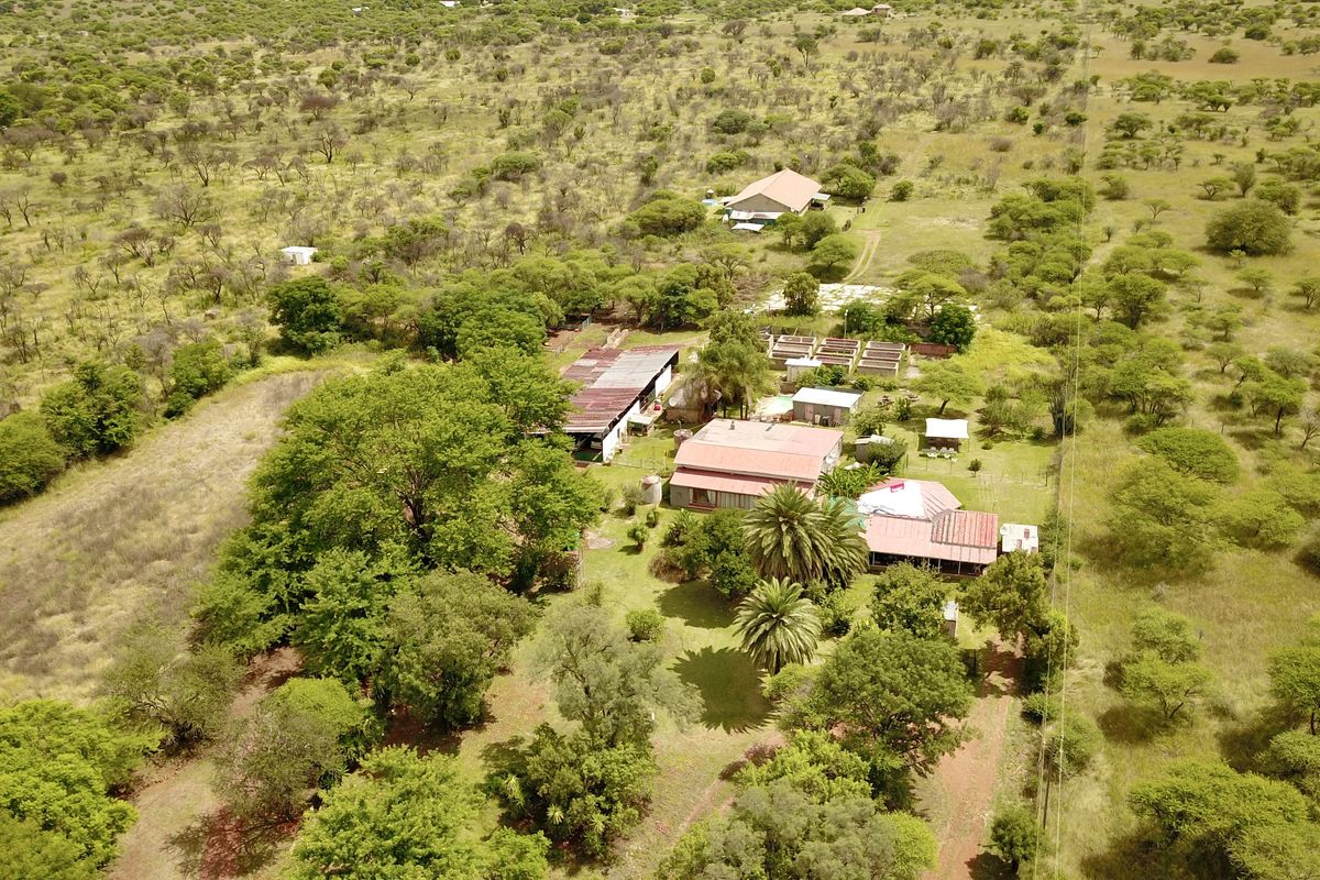 Prime Income-Generating Agricultural Smallholding - Photo 4