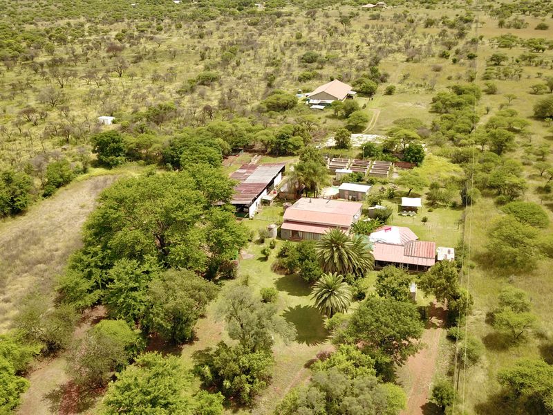 Prime Income-Generating Agricultural Smallholding - Photo 4