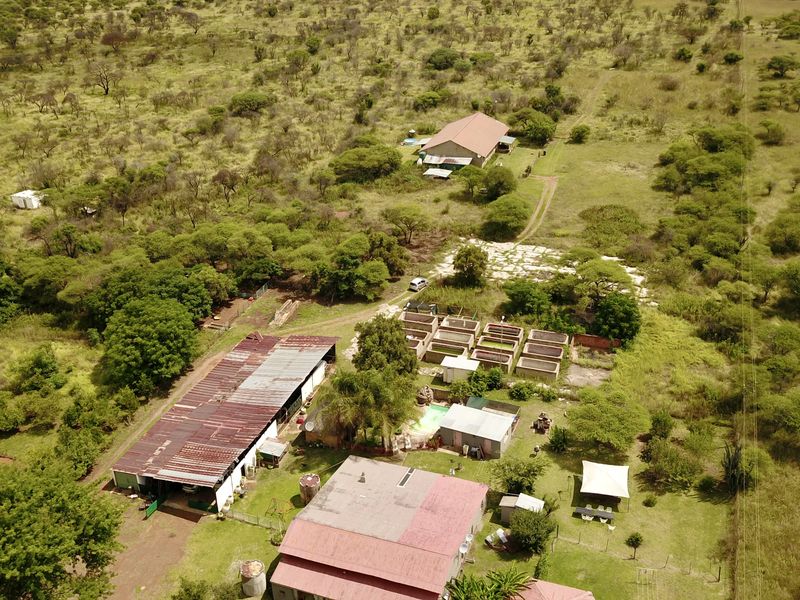 Prime Income-Generating Agricultural Smallholding - Photo 6