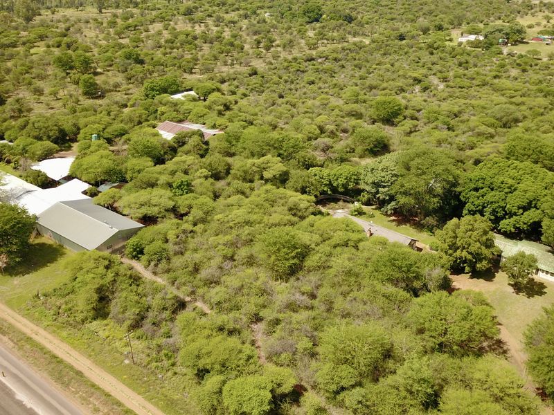 Rare Multi-Use Estate with Massive Commercial Footprint & 5 Residences - Photo 5