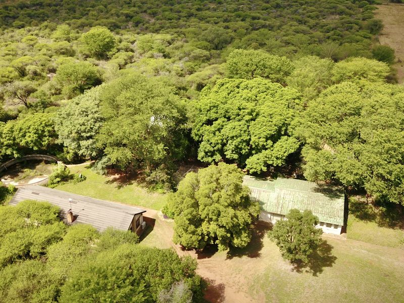 Rare Multi-Use Estate with Massive Commercial Footprint & 5 Residences - Photo 9