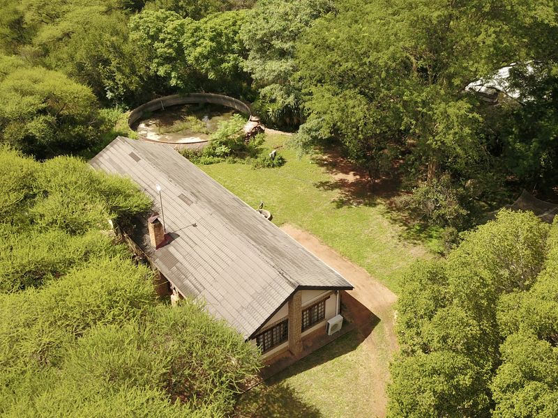 Rare Multi-Use Estate with Massive Commercial Footprint & 5 Residences - Photo 8