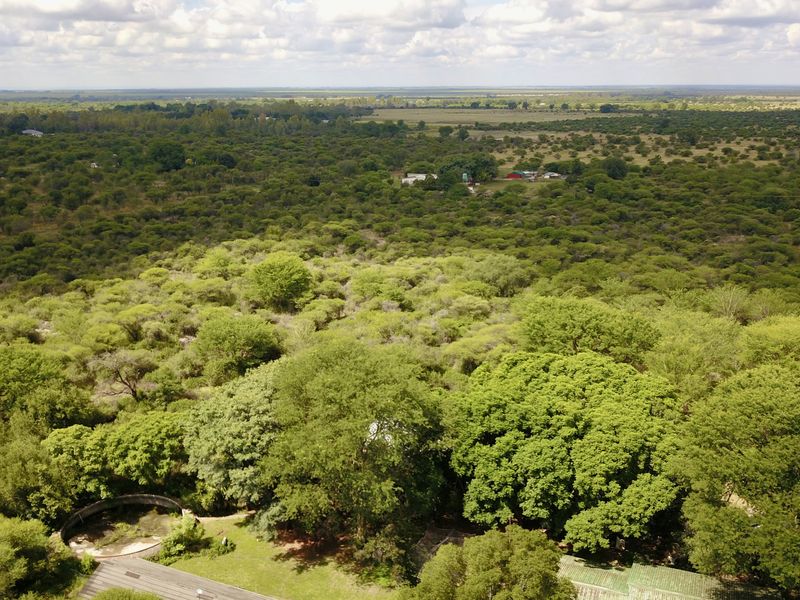 Rare Multi-Use Estate with Massive Commercial Footprint & 5 Residences - Photo 7